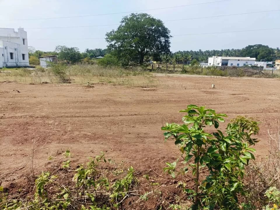 DTCP Approved Plots for Sale – Near Othakalmandapam